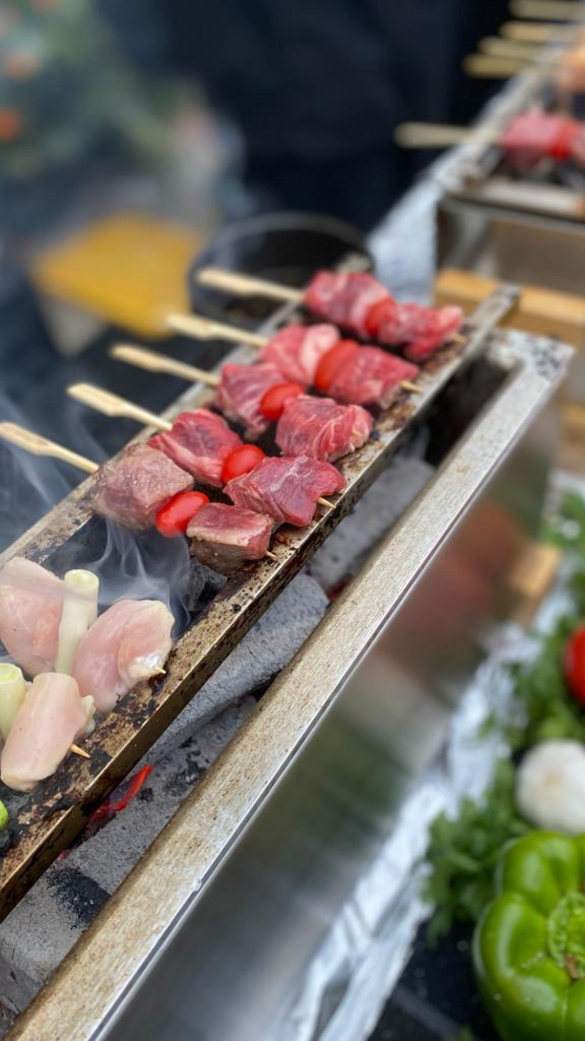 24" Stainless-Steel Skewer Rods/Bars for use with 24 inch grill (Pair, 2ea.)